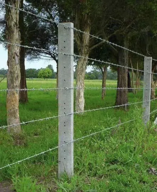 Galvanized Barbed Wire Roll