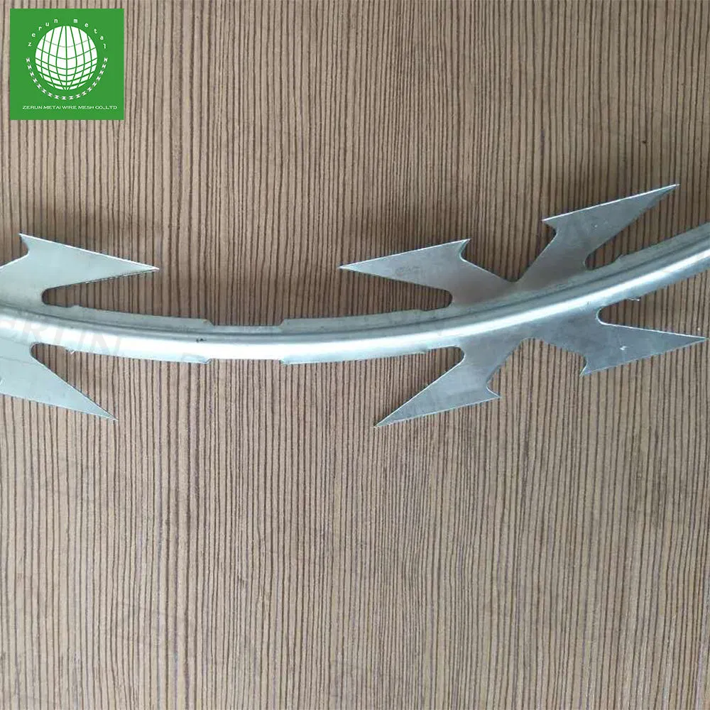 Galvanized Barbed Wire / Razor Barbed Wire / Security Wire / Fencing Wire / Farm Wire for Perimeter Protection