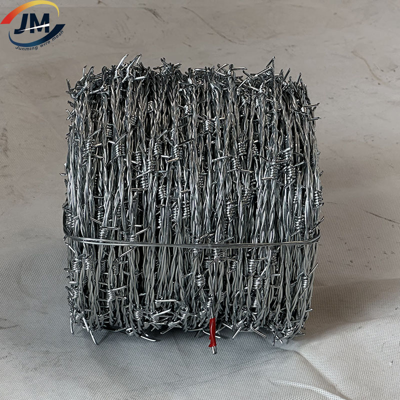 High Quality Double Strand Galvanized Razor Barbed Wire Fencing