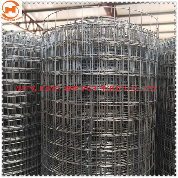 1'' Square Hole Galvanized/Stainless Steel Welded Wire Mesh