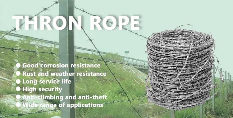 Barbed Wire Detail 1