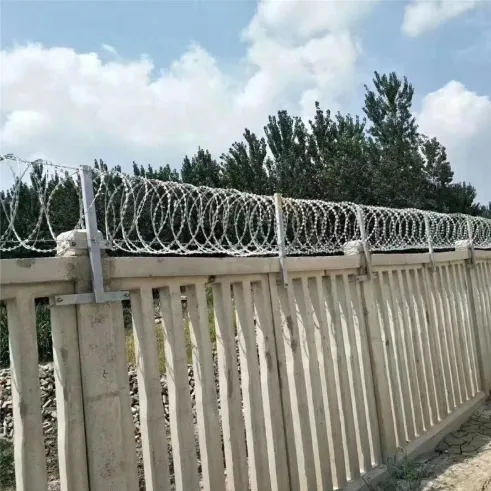 Razor Barbed Wire Detail