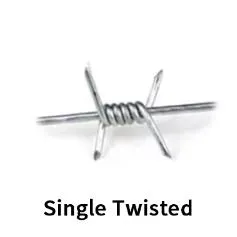 Barbed Wire Detail 1