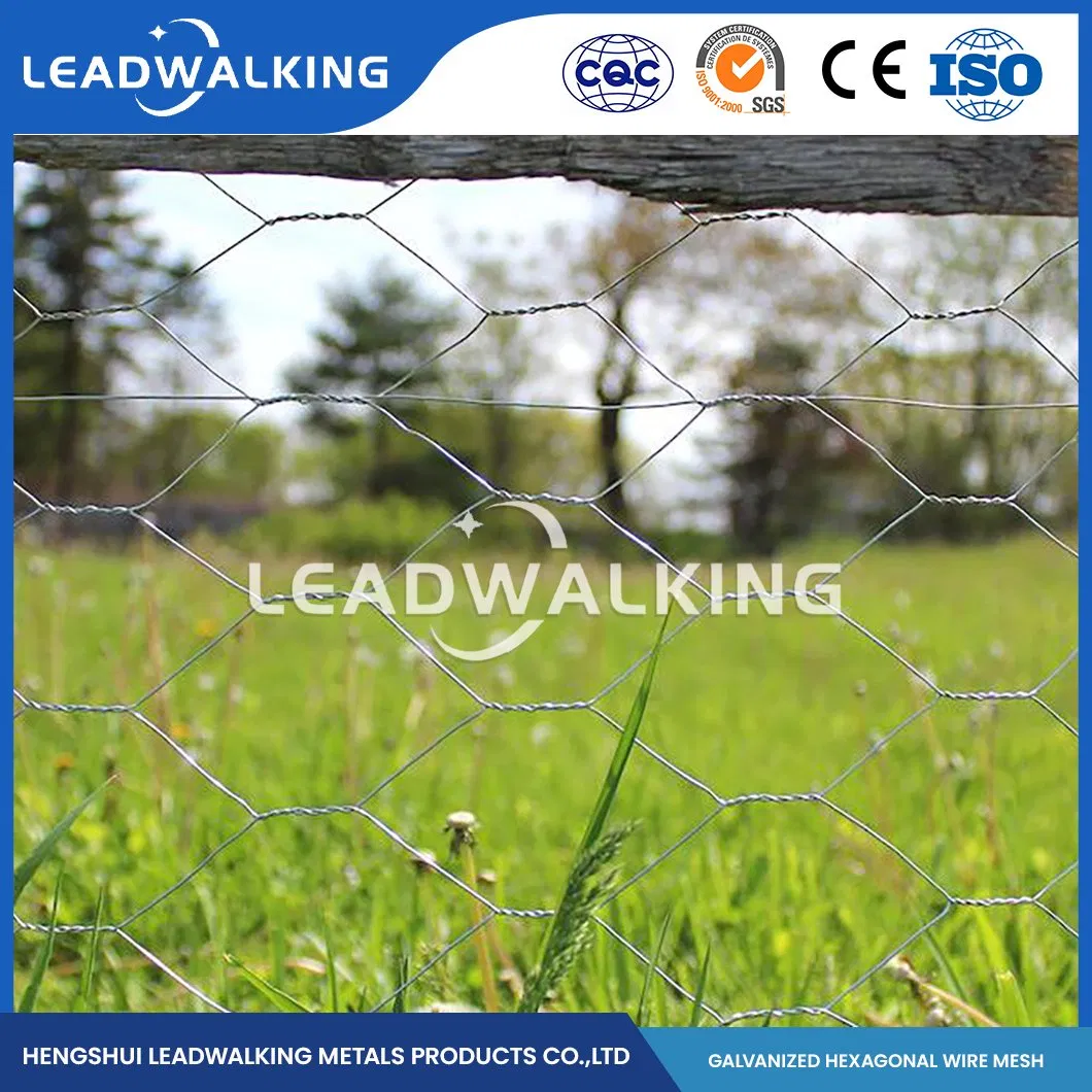 Leadwalking China 5FT Poultry Netting Manufacturing Copper Wire Material 19mm Mesh PVC Coated Hexagonal Hexagonal Mesh Woven Hexagonal Galvanized Cage Net