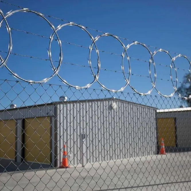 Prison Wall Protection