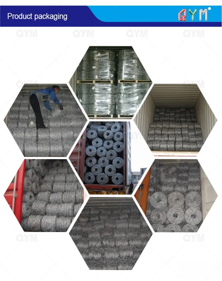 Barbed Wire Application 2