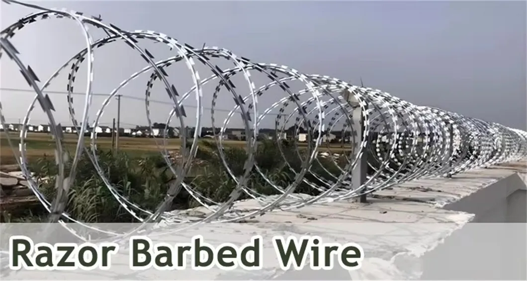 High-Tensile Galvanized Barbed Wire