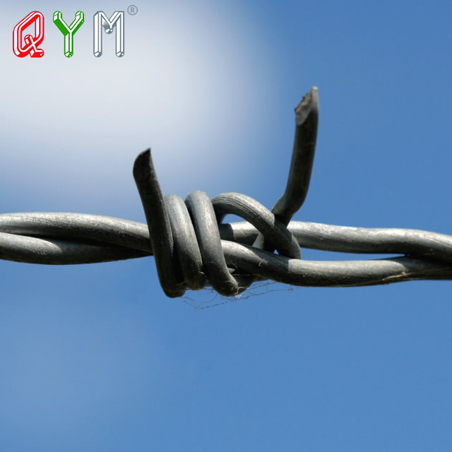 Galvanized Barb Wire Fence PVC Coated Prison Barbed Wire Mesh Fence Sale
