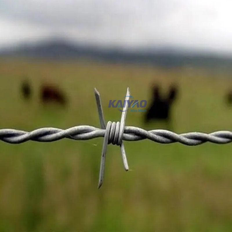 Customizable Blade Razor Barbed Wire for Harsh Environment Security Solutions