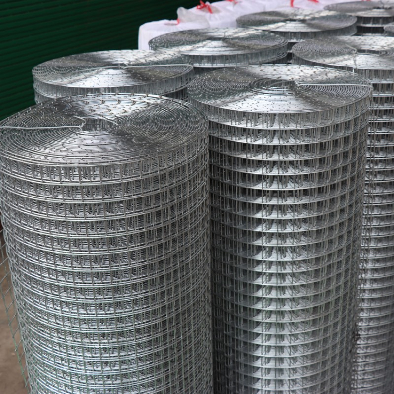Factory Price Stainless Steel, Hot DIP Galvanized Steel, Electro Galvanized, PVC Coated Welded Wire Fence Mesh Panels Rolls Price for Garden Agriculture Poultry