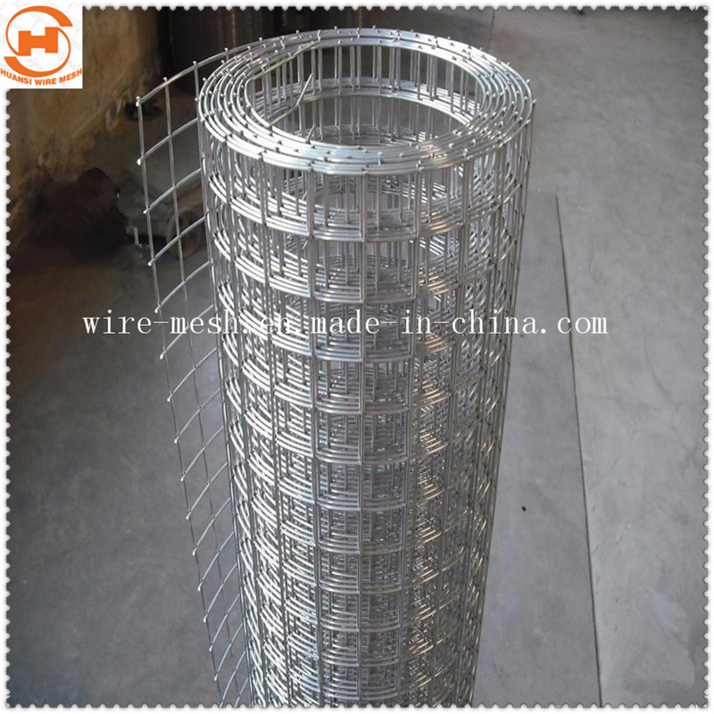 Stainless Steel 304/316/Galvanized/PVC Coated Welded Wire Mesh for Building
