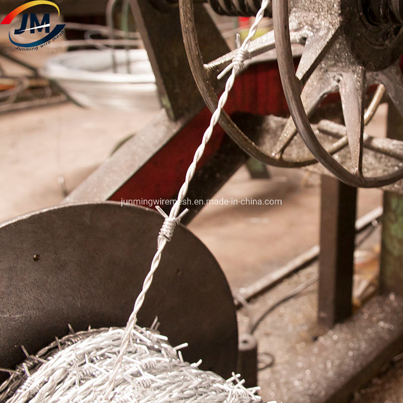 Barbed Wire with Galvanized Stainless Steel and PVC Coated for Sale