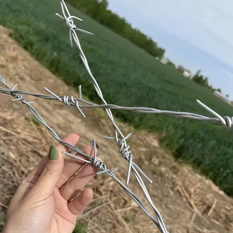 Barbed Wire Fencing