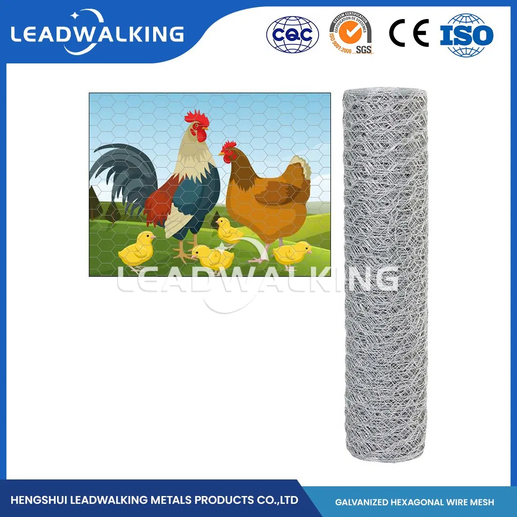 Leadwalking China 5FT Poultry Netting Manufacturing Copper Wire Material 19mm Mesh PVC Coated Hexagonal Hexagonal Mesh Woven Hexagonal Galvanized Cage Net