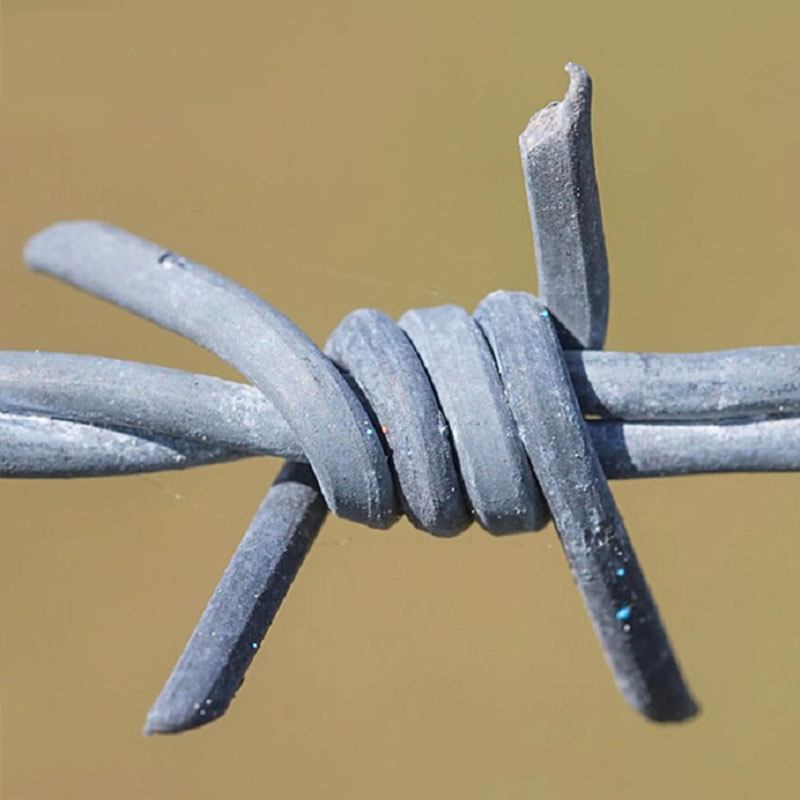 Factory Wholesale Hot Dipped Galvanized Farm Fence Barbed Wire PVC Coated Farm Safety Against Flight Barbed Wire Fence