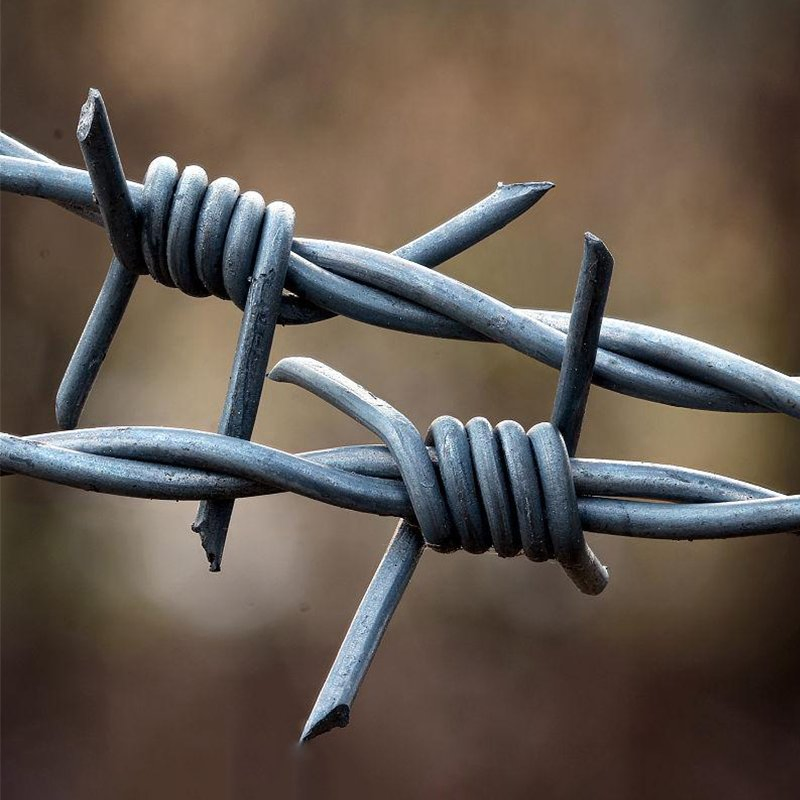 Galvanized Security Anti-Climb Razor Barbed Wire for Fence Prison Protection