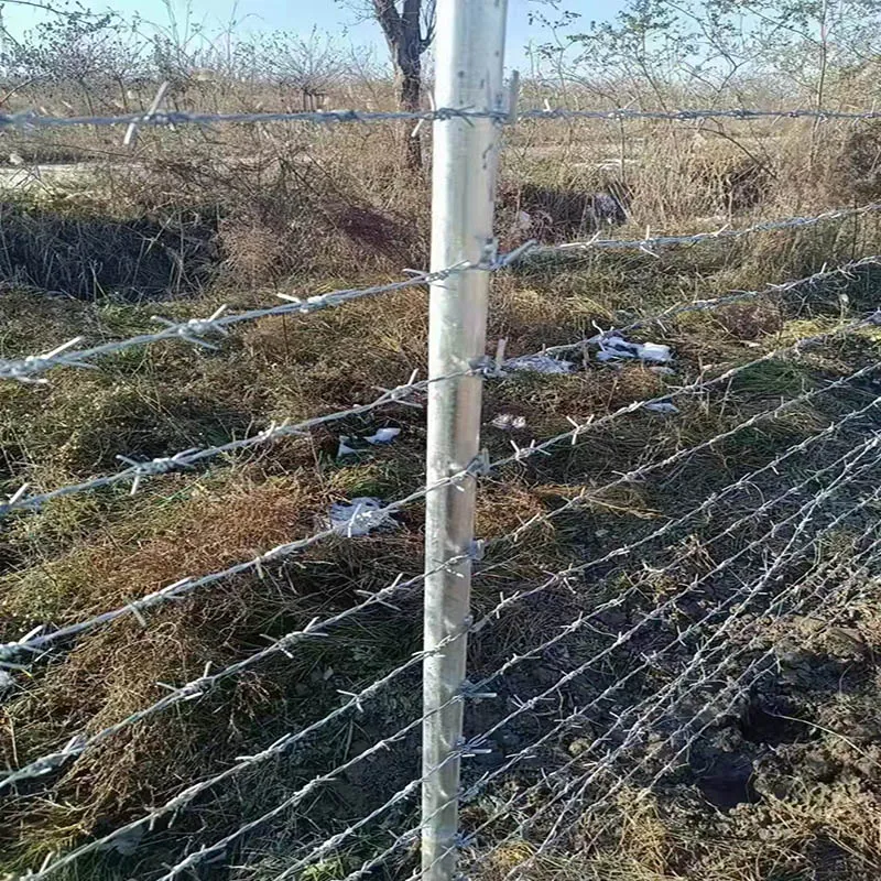 PVC Coated Barbed Wire