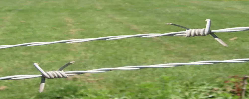 Galvanized Barbed Wire Overview