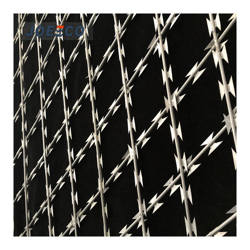 Strong Defensive Rust-Proof Iron Wire Galvanized Razor Barbed Wire in Stock for Anti-Piracy Single Type Pierced Blade