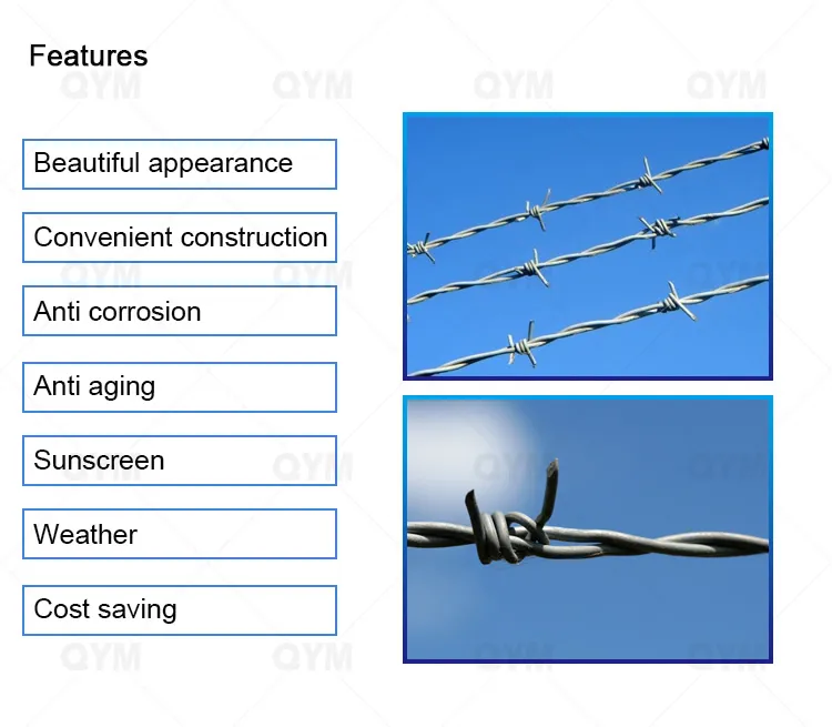 Barbed Wire Application 1