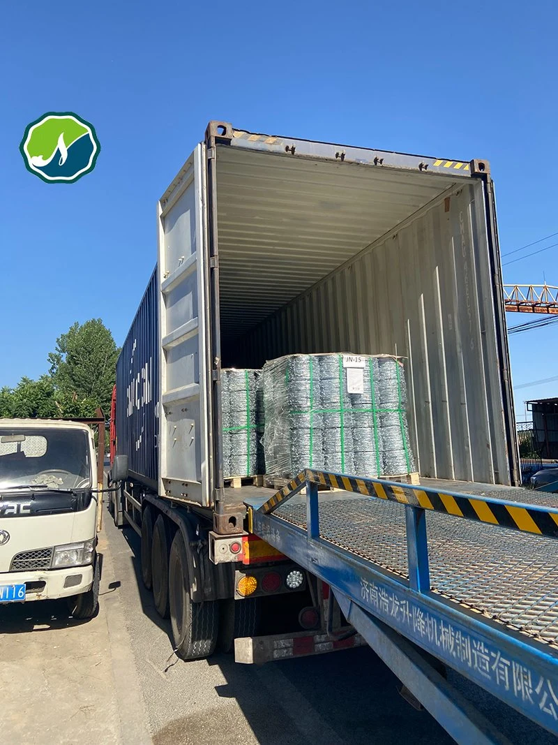 Factory Hot Dipped Galvanized PVC Stainless Steel Barbed Wire Razor Fencing Wire Price