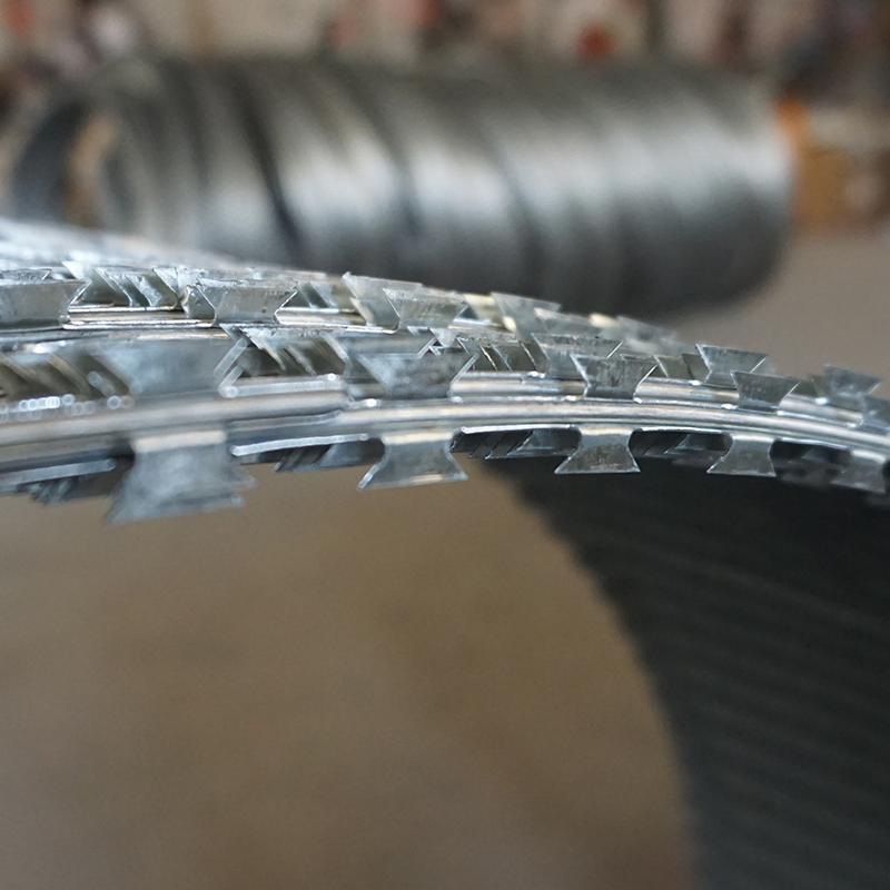 Anti-Rust Hot Dipped Security Fastener 2.5 mm Bto 16 22 Galvanized Concertina Razor Barbed Wire PVC Coated Safety Low Carbon Blade Razor Wire Rolls Anti Climb