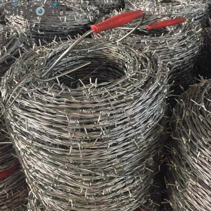 Galvanized Barbed Wire Close up