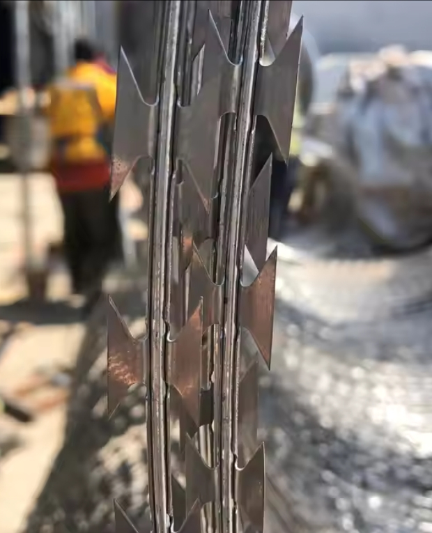 Cbt65 Bto30 Bto-22 Roll Concertina Double Strand Razor Blade Barbed Wire