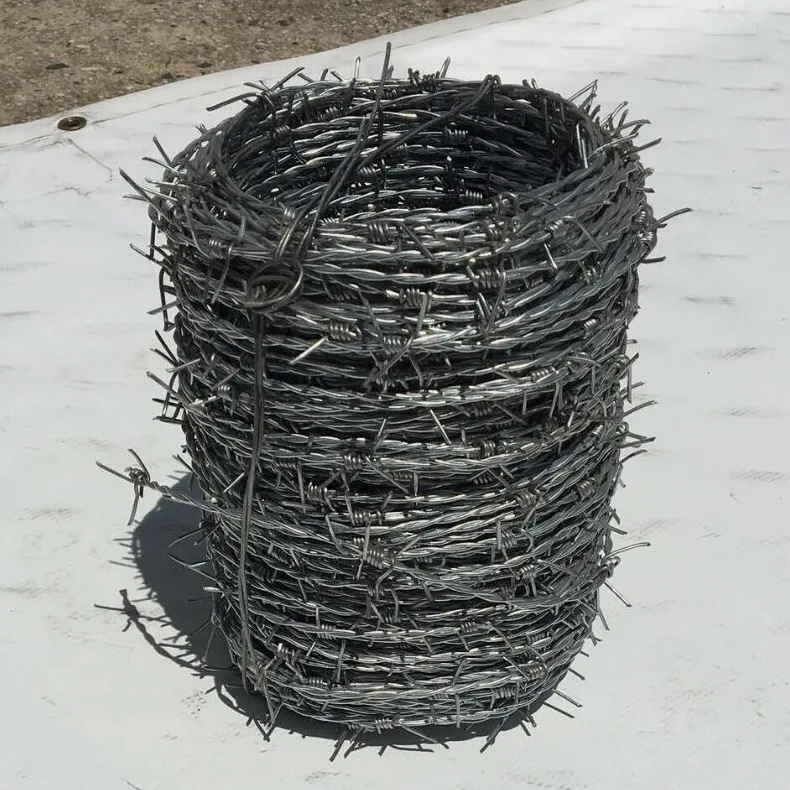 Barbed Wire Detail 1