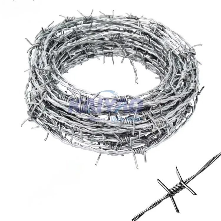Barbed Wire Detail