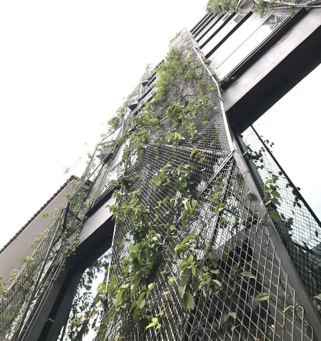 Green Building