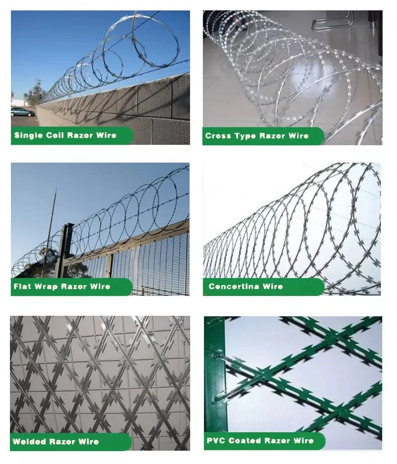 Galvanized Concertina Wire