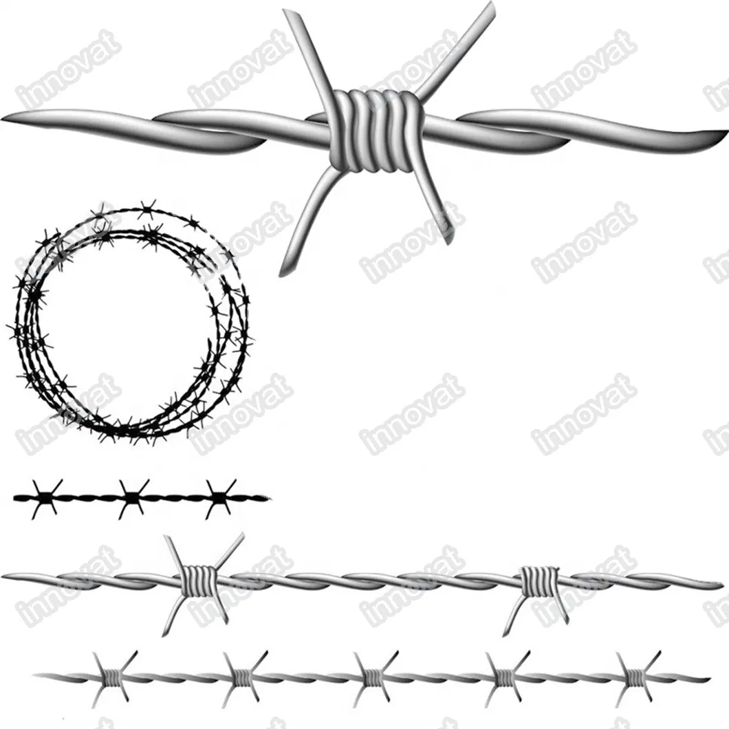 Close up Barbed Wire
