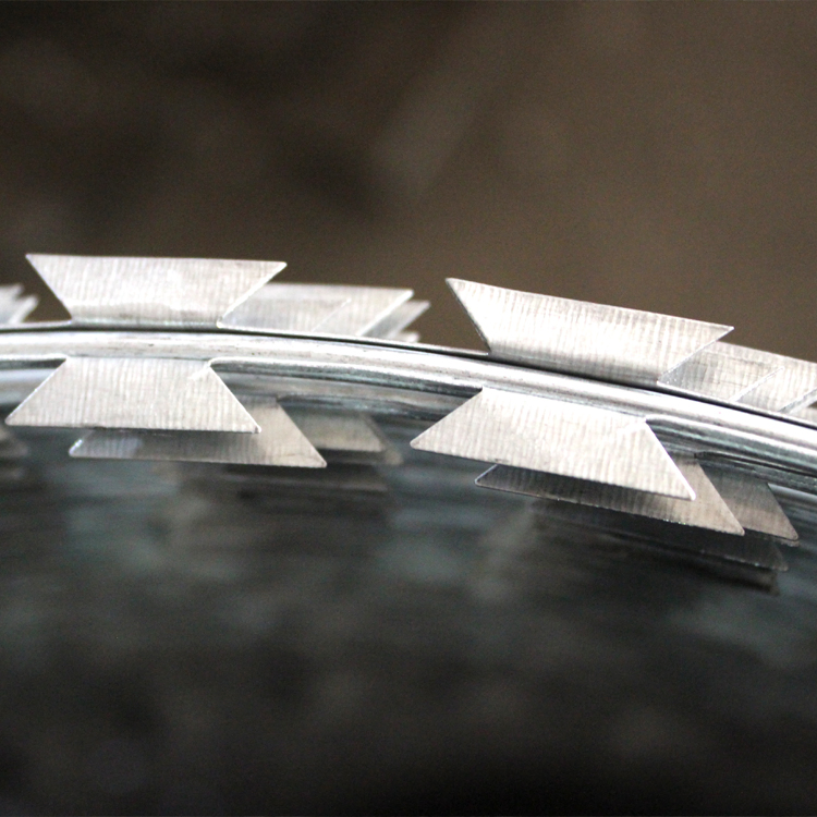 Prison Mesh Fence Hot Dipped Galvanized Cbt65 Bto30 Bto-22 Roll Concertina Double Strand Razor Blade Barbed Wire