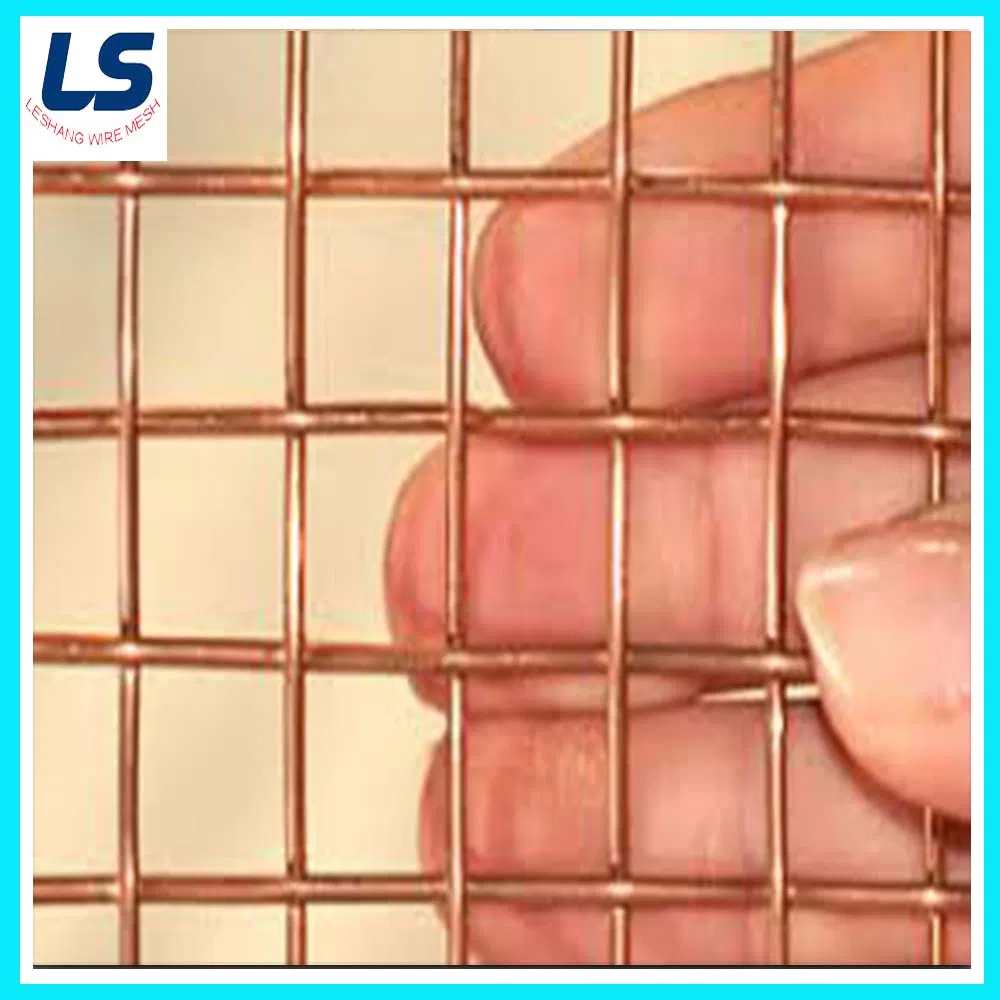 Brass/Copper/Phosphor Bronze Wire Mesh From China Factory