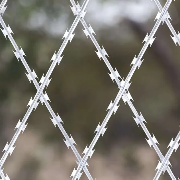 Razor Wire Detail 2