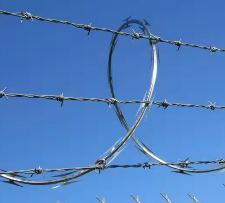 Direct Factory PVC Coated Barbed Wire for Farm &amp; Prison Safety