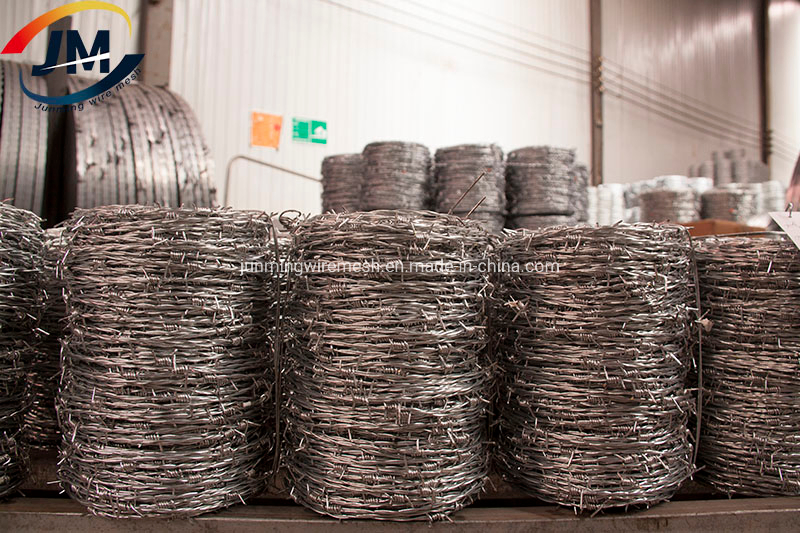 Barbed Wire with Galvanized Stainless Steel and PVC Coated for Sale