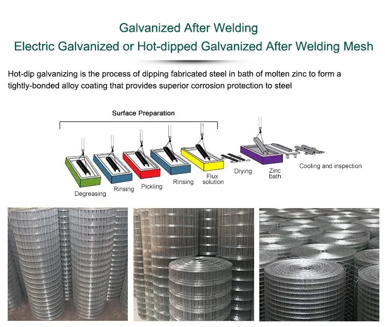 Welded Wire Mesh Photo 1