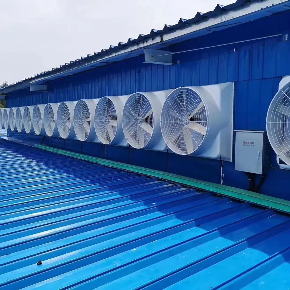 Specification Diagram