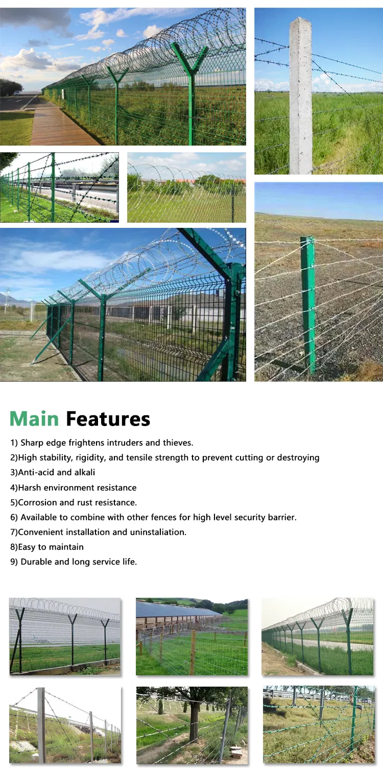 Barbed Wire Detail 2