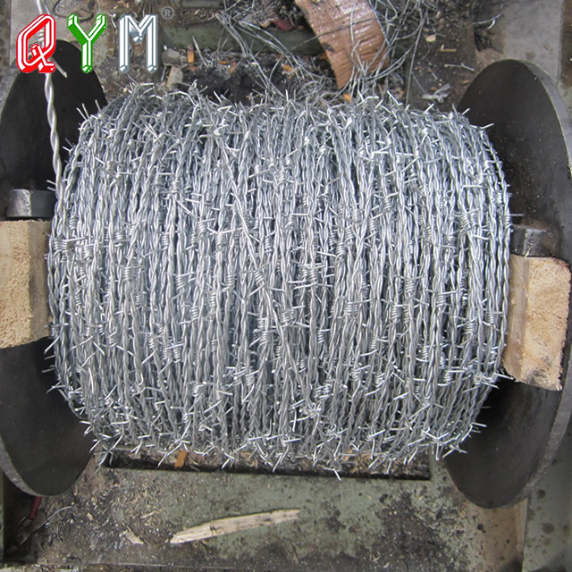 Galvanized Barb Wire Fence PVC Coated Prison Barbed Wire Mesh Fence Sale