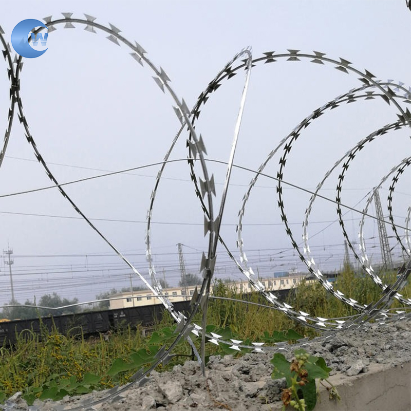 Galvanized Cbt65 Bto30 Bto-22 Double Strand Razor Blade Barbed Wire
