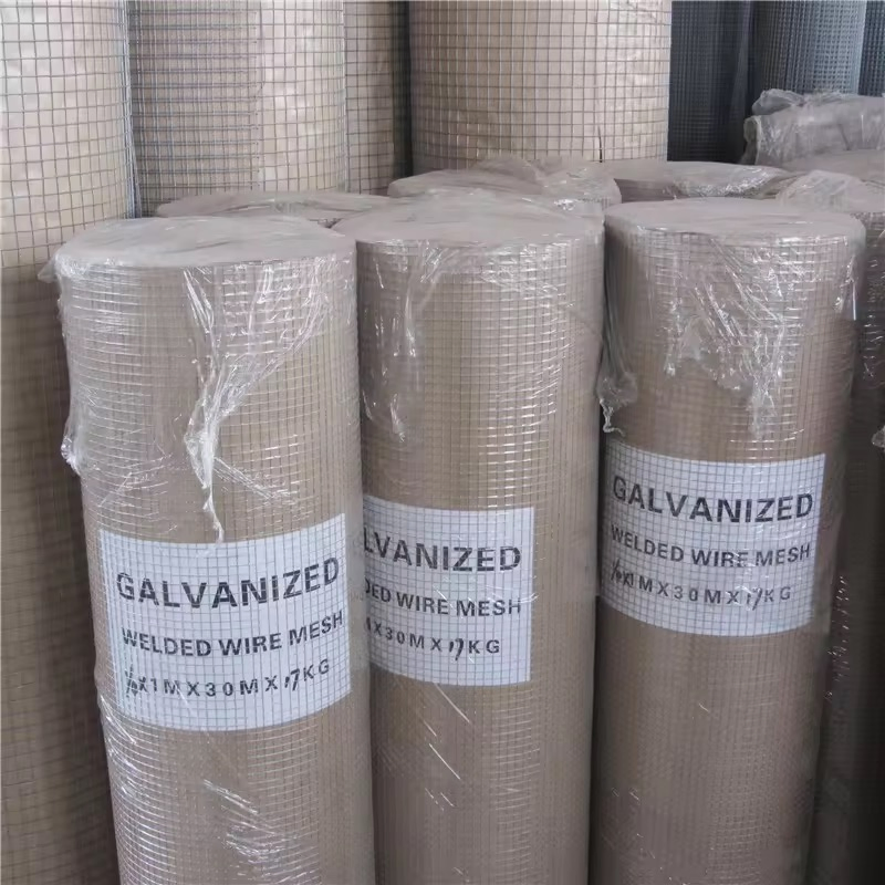 High-Strength/Hot-DIP Galvanized/Stainless Steel/Poultry Cage Welded Wire Mesh