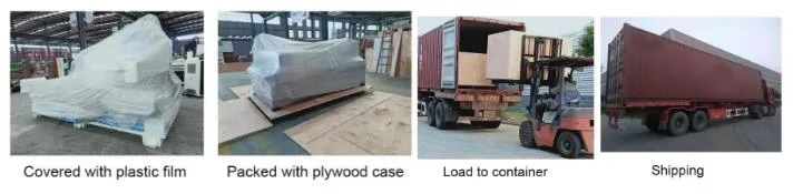 Package and shipment