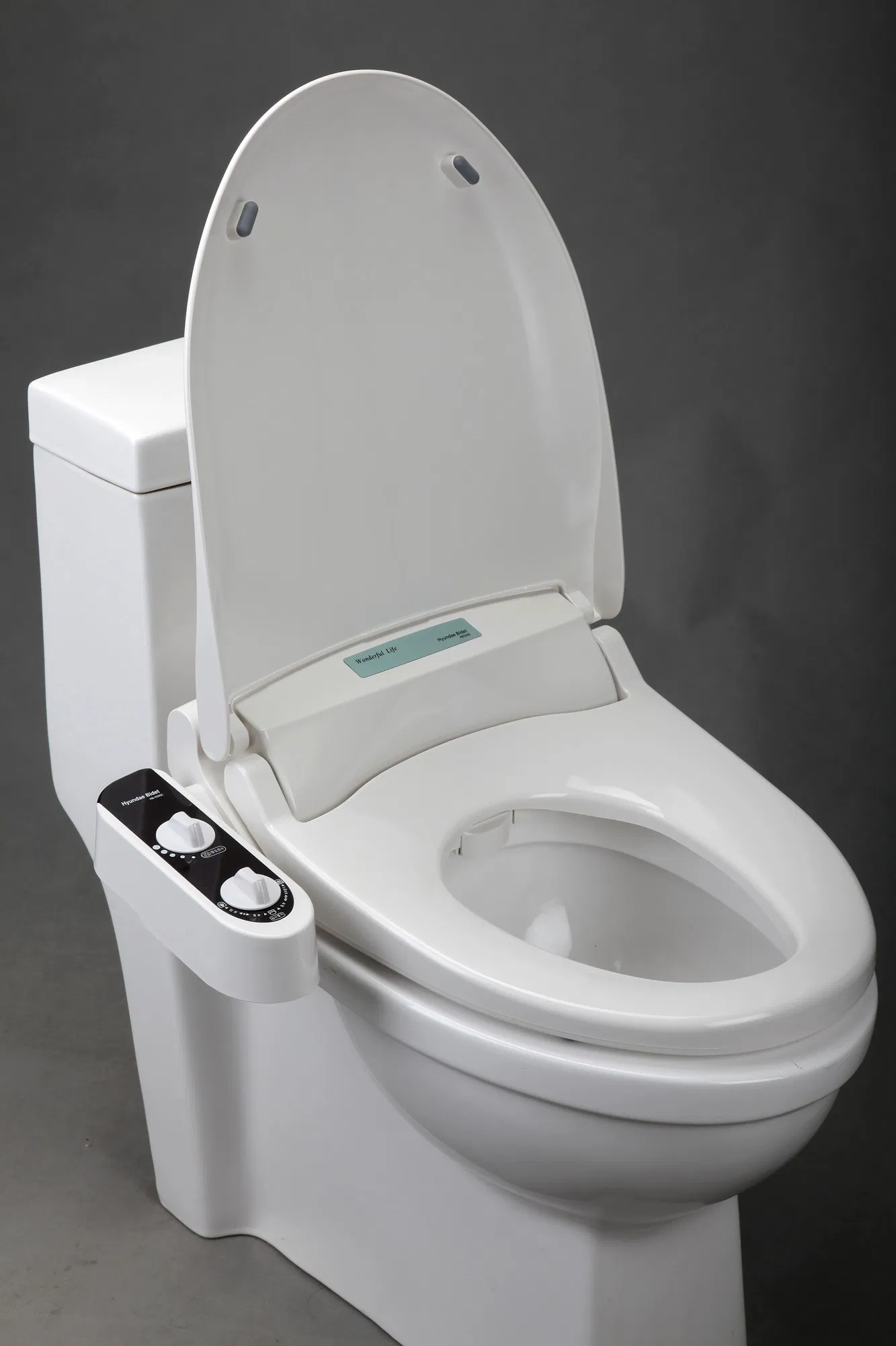 Bathroom Product Non Electric Unique Bidet Toilet Seat CB3500