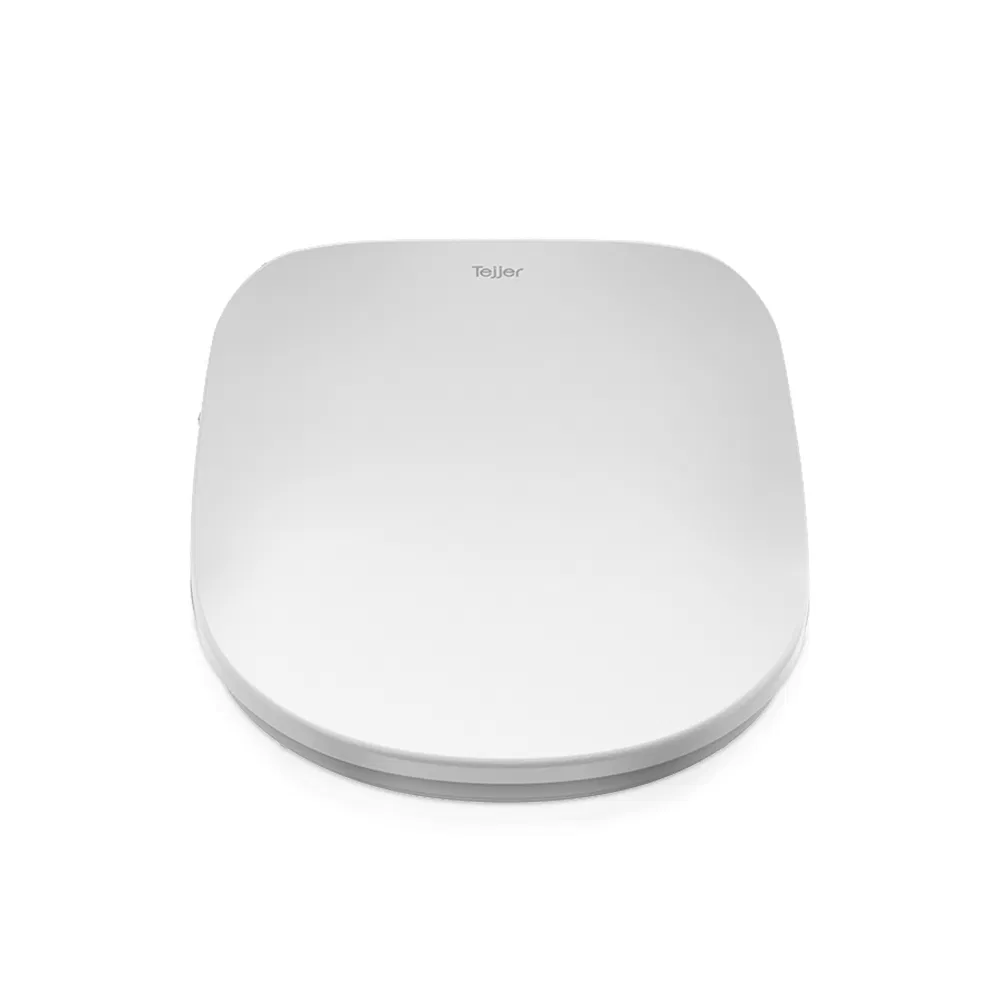 Slim Instant Heating Electronic Bidet Seat