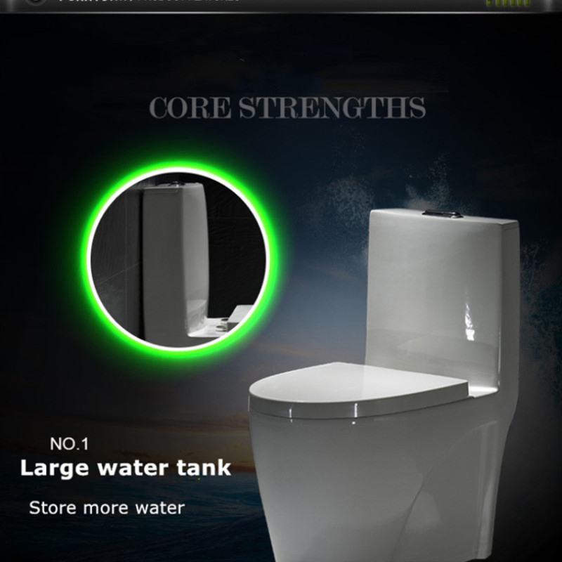 Siphon Flushing Standing Floor Washdown Watermark Wall Hung Smart Toilet Closestool ODM