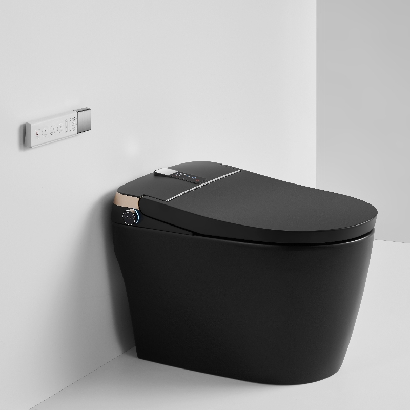 Watermark White Standing Mounted Auto Flush One Piece Smart Toilet