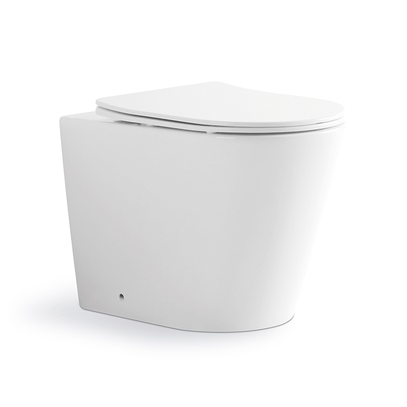 Dual Flush System Wall Hung Toilet with Concealed Tank